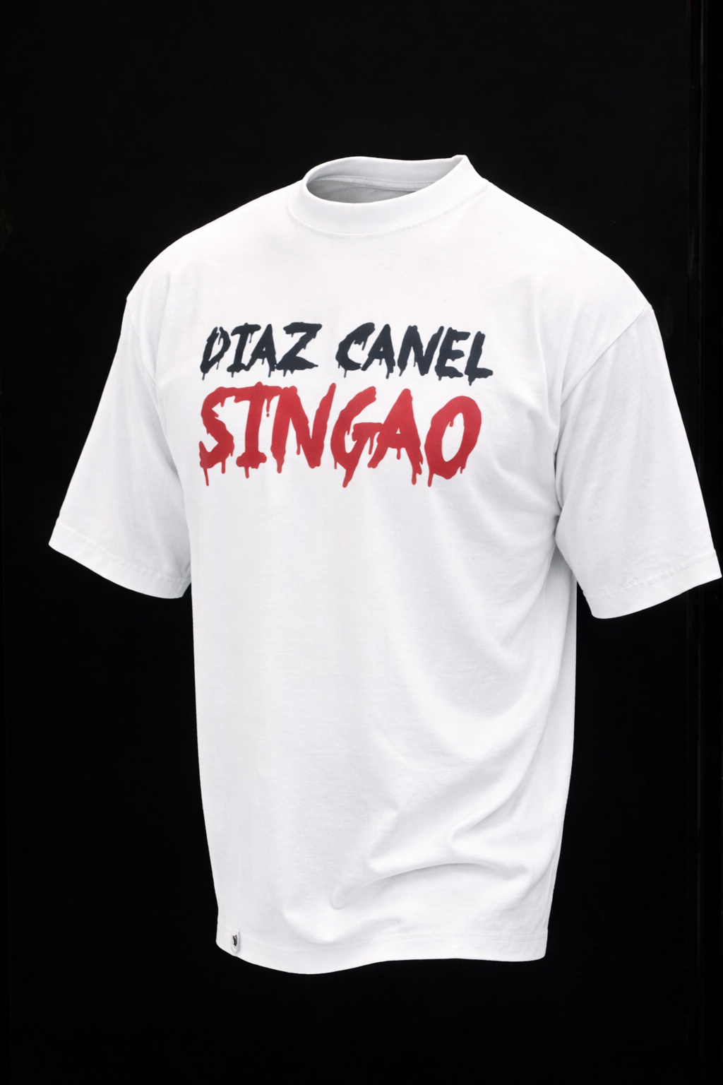 T-Shirt Diaz Canel sin casa