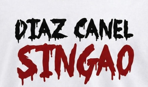 T-Shirt Diaz Canel sin casa